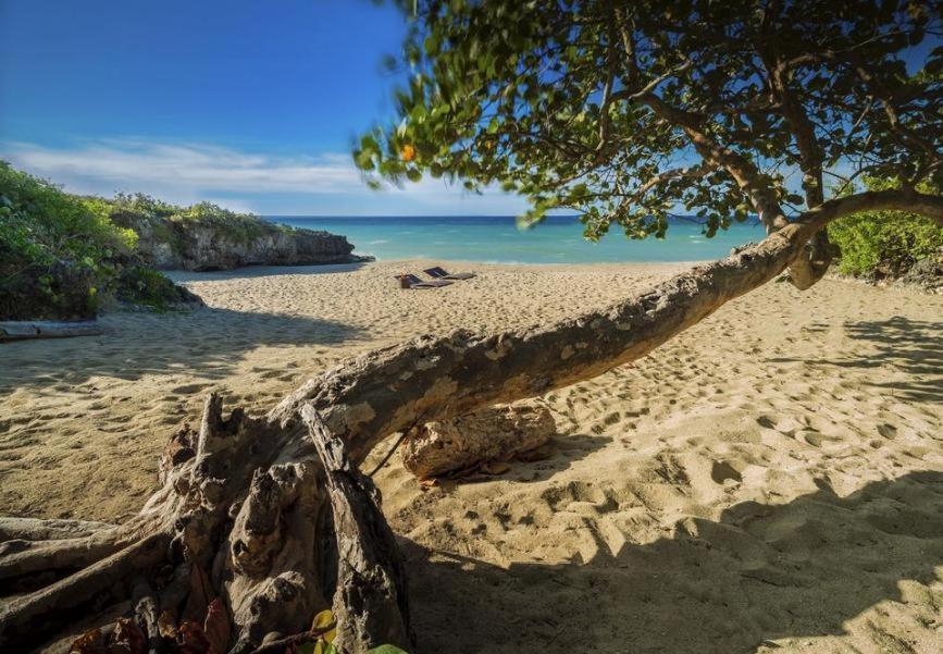 Amazing Condos At Sosua Ocean Village Bagian luar foto